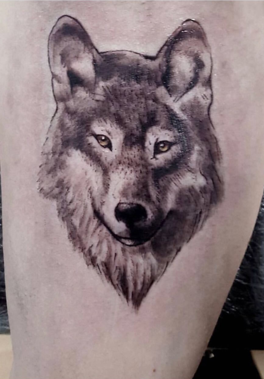 Wolf